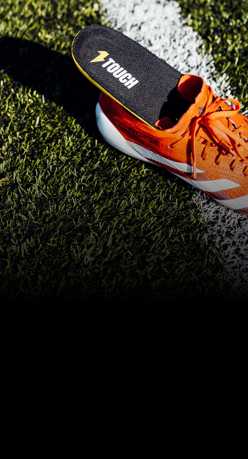 Unlock the 1% Performance UPGRADE